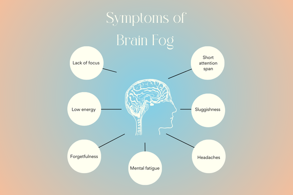 Infographic displaying common symptoms of brain fog, including lack of focus, forgetfulness, mental fatigue, and more.